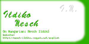 ildiko mesch business card
